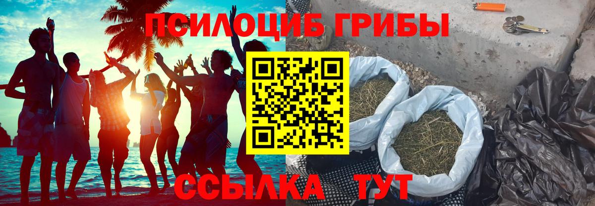 Кимры  Псилоцибиновые грибы мицелий  Вход с VPN 
